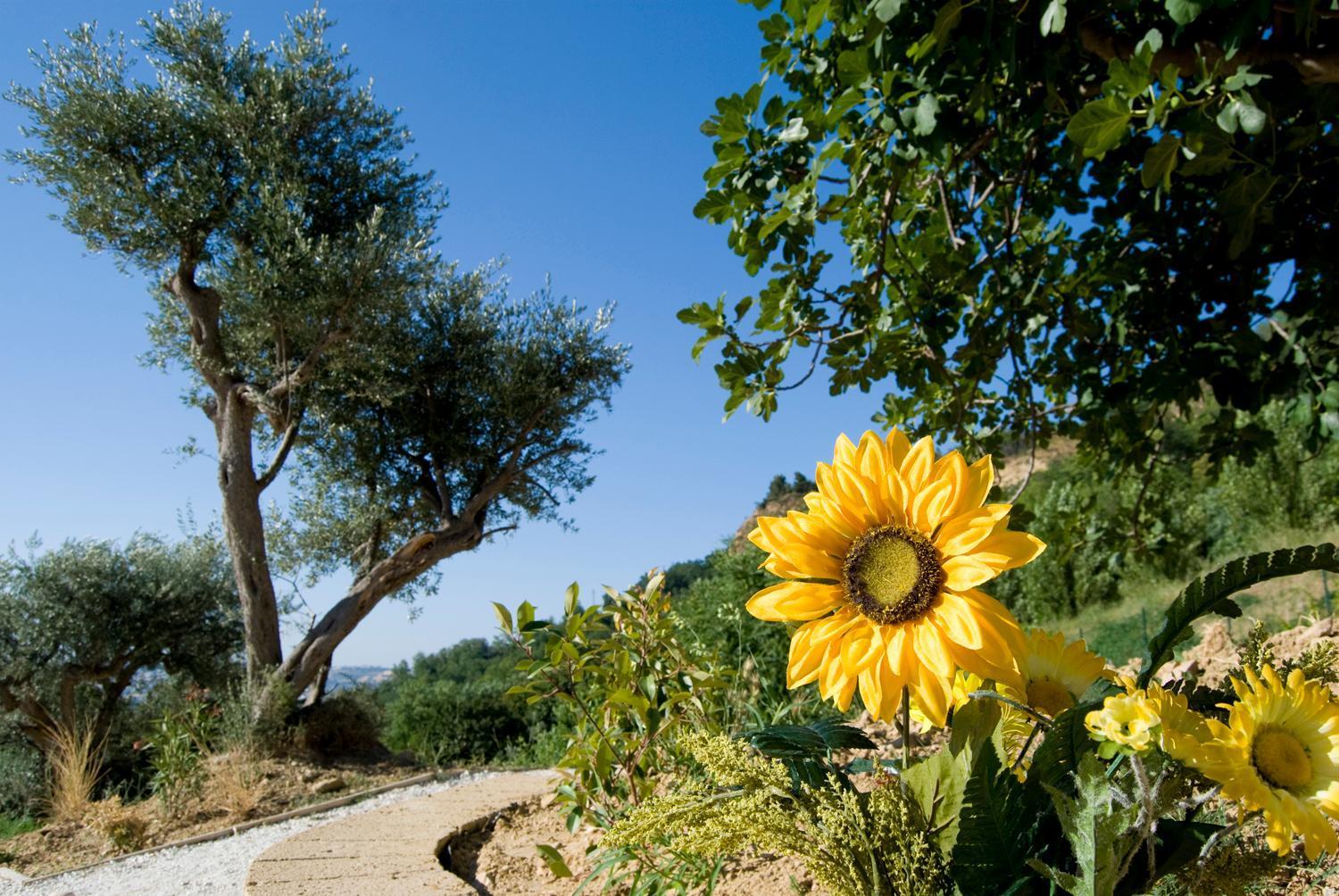 Agriturismo Il Falco Sant'Elpidio a Mare Exterior photo